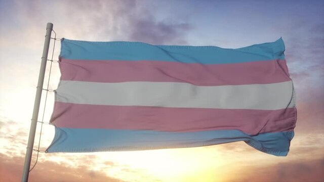 Transgender pride flag waving in the wind, sky and sun background
