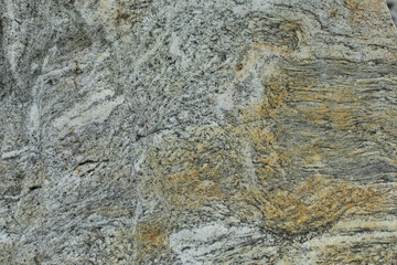 The texture of the rock. The background is a stone surface.