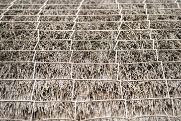 Traditional thatch roof on the Isle of Man