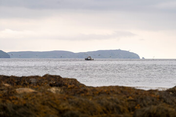 Lobster fishing off the southern coast of the Isle of Man - Landscape