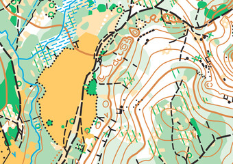 Detailed fragment of color abstract vector topographic map