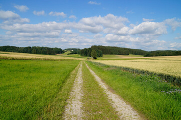 endless road leading through the green fields of the Bavarian countryside by the Birkach village on a sunny summer day with fluffy white clouds (Birkach, Bavaria, Germany)