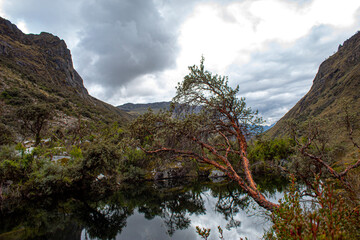 mountain river in the mountains