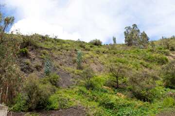 landscape with sky