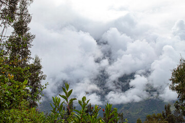 Obraz na płótnie Canvas clouds over the forest