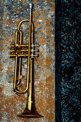 Fototapeta na wymiar Abandoned Jazz Trumpet Concrete