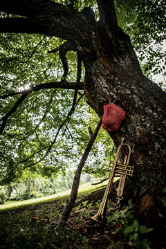 Traveling Jazz Trumpet Musician