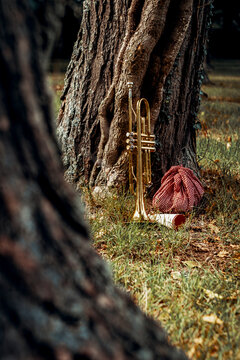 Traveling Jazz Trumpet Musician
