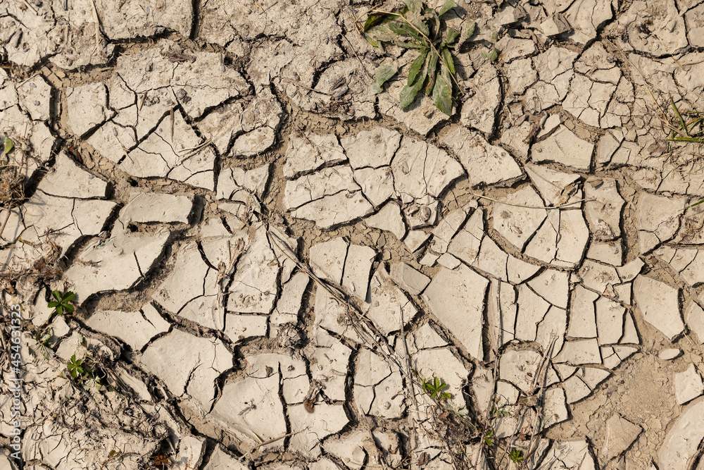 Poster dried earth in cracks. background symbolizing drought