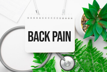 Back Pain word on notebook,stethoscope and green plant