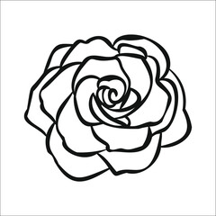 Outline flower rose, hand drawn ink for logo 