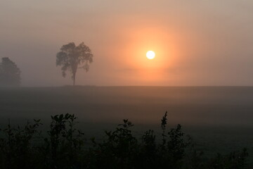 Sunrise over an agriculture field on a foggy autumn morning 
