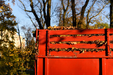 Fallen autumn leaves, picked in a wooden red box, against the backdrop of the autumn landscape in a city park. Sunny day