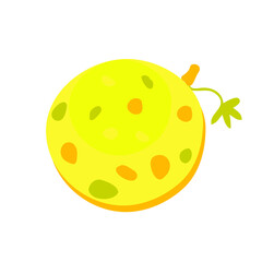 Hand-drawn vector melon illustration. Perfect for poster, textile and prints. 

