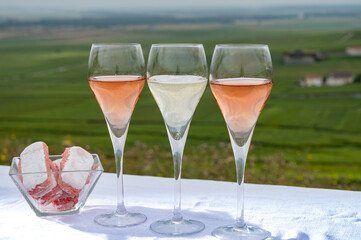 Tasting of white and rose brut champagne wine with view on green pinot noir grand cru vineyards of famous champagne houses in Montagne de Reims near Verzenay, Champagne, France