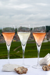 Glasses of white and rose brut champagne wine and examples of vineyard soils, white chalk stones and firestones and view on grand cru vineyards of  Montagne de Reims near Verzenay, Champagne, France