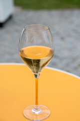 Tasting of brut champagne sparkling wine during visit caves in champagne house in Reims, France