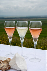 Glasses of white and rose brut champagne wine and examples of vineyard soils, white chalk stones and firestones and view on grand cru vineyards of  Montagne de Reims near Verzenay, Champagne, France