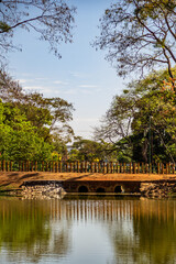 Fototapeta premium Ponte no Parque Lago das Rosas em Goiânia.