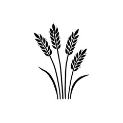 Wheat, barley, rice icon. Hand drawn sketch style oat with grain. Wheat isolated vector illustration.