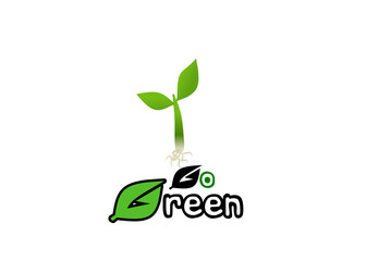 green plant growing from a plant