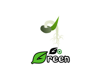 green eco icon