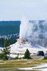 White Dome Geyser erupts in Yellowstone National Park