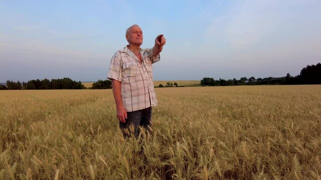 Elderly farmer looks around ripe wheat field at sunset. Grain harvesting concept in agriculture. High quality 4k footage