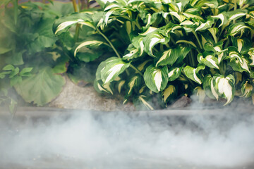 fog on hot water, cooling of nuclear power plant, abstract nature environment background