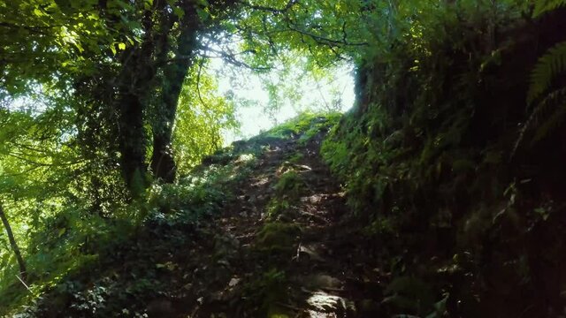aerial images, first person through rural roads in caurel, lugo, spain
