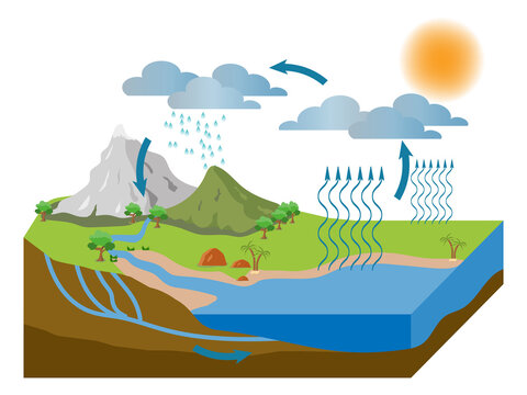 vector illustration of the water cycle in nature. ESP10.