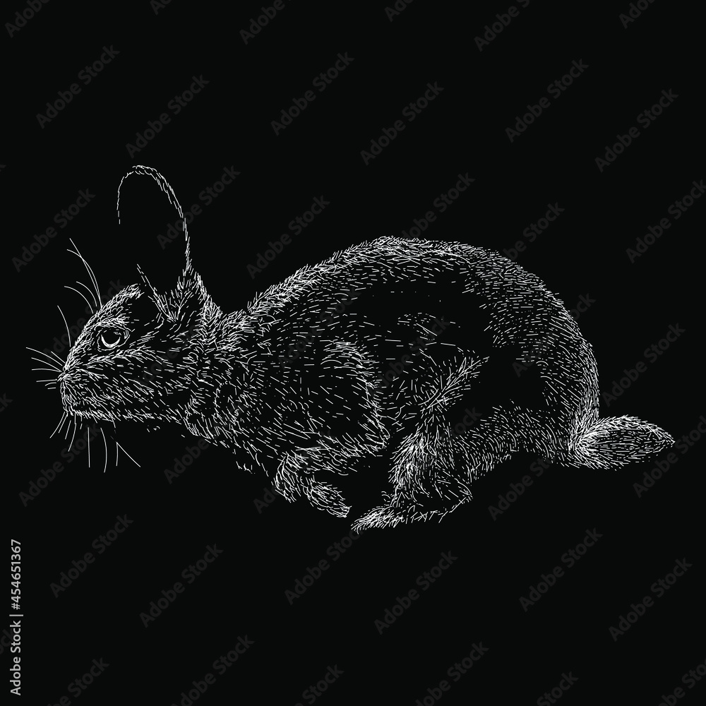 Wall mural rabbit vector drawing illustration. vector isolated element on the white background - Wall murals