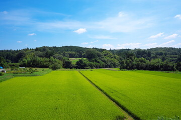 Fototapeta na wymiar 快晴の日の静かで美しい農村の風景