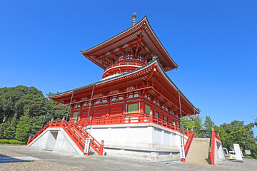 成田山新勝寺の平和大塔