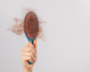 Close-up of a female hand holding a comb with a bun of hair on a white background. Hair loss and female alopecia