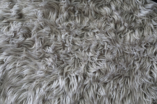 Closeup detail of thick gray shag carpet