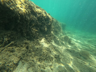 Obraz premium Underwater world of Mediterranean Sea. Near Marmaris, Turkey