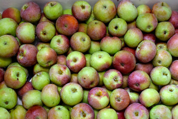 Apples 02