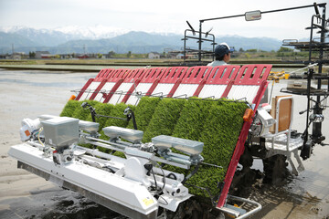 田植機　田植え　農業　農作業