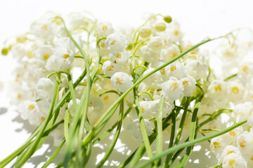 the sun shines through the window. lilies of the valley on the window. spring flowers.