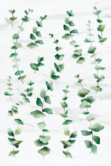 Hand-drawn eucalyptus leaves on white marble background
