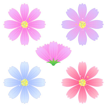 秋の花 Images Browse 10 012 Stock Photos Vectors And Video Adobe Stock