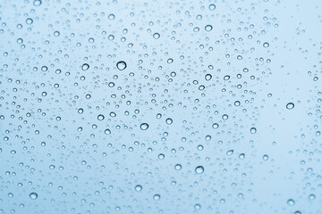 車・雨