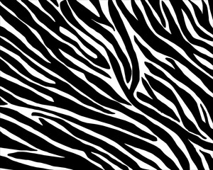 seamless zebra skin texture.Vector eps10
