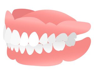 入れ歯（総義歯）