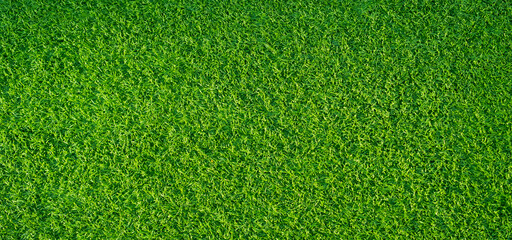 Obraz premium Green grass background, football field 