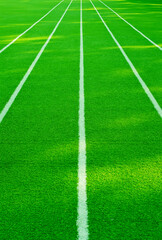 Fototapeta premium Green grass background, football field 