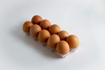 Ten eggs in the egg holder on a white background