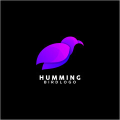 humming bird colorful logo design template