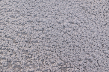 Ice crystals on surface. Detailing of ice floes and frozen structures. Concept for winter background, backdrop.